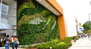 Beneficios de contar con un jardín vertical en zonas urbanas